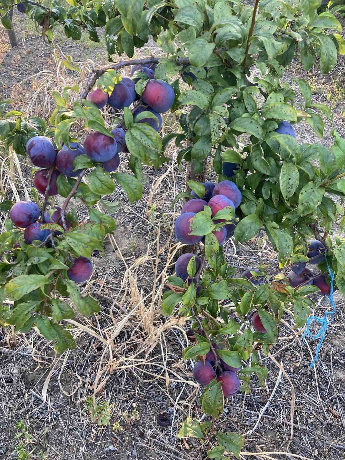 ������� ���������� ���� | Imot.bg � ����������� 2