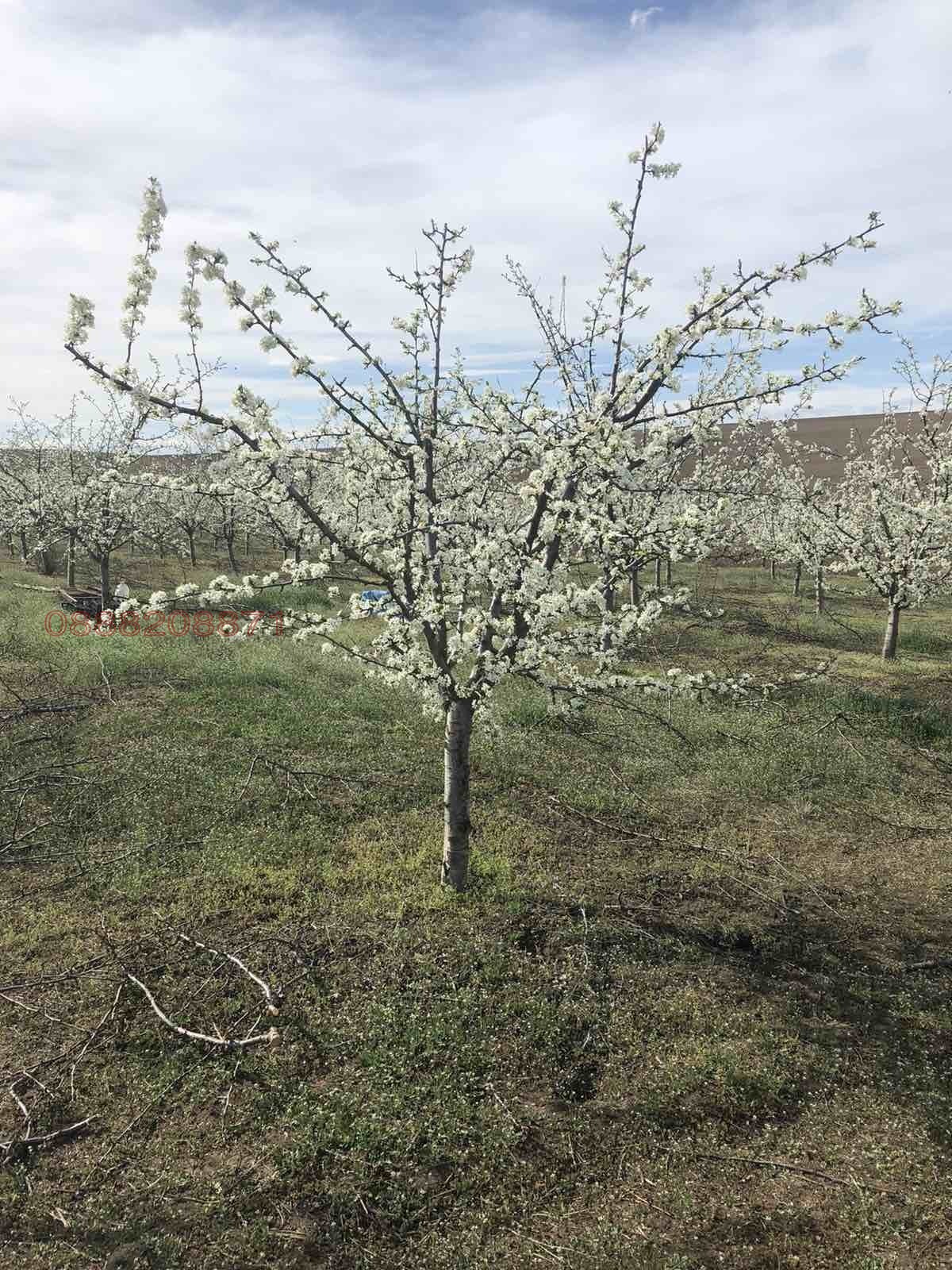 ������� ���������� ���� | Imot.bg � ����������� 3