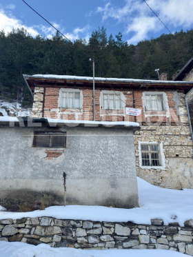 Hus Zabardo, region Smolyan 1