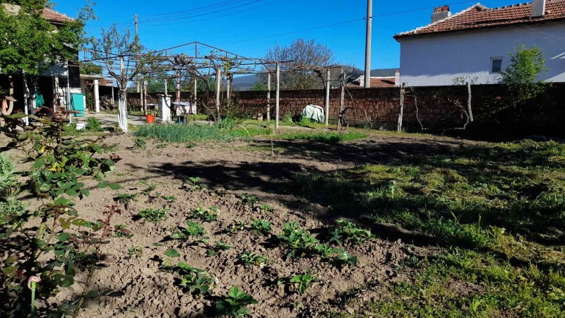Продава КЪЩА, с. Зимница, област Стара Загора, снимка 4 - Къщи - 52889675
