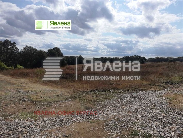 De vânzare  Complot regiunea Burgas , Gramaticovo , 995 mp | 76086149 - imagine [4]