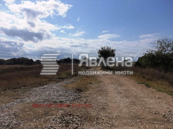Продава ПАРЦЕЛ, с. Граматиково, област Бургас, снимка 3 - Парцели - 51897567