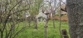 Продава КЪЩА, с. Елена, област Хасково, снимка 5