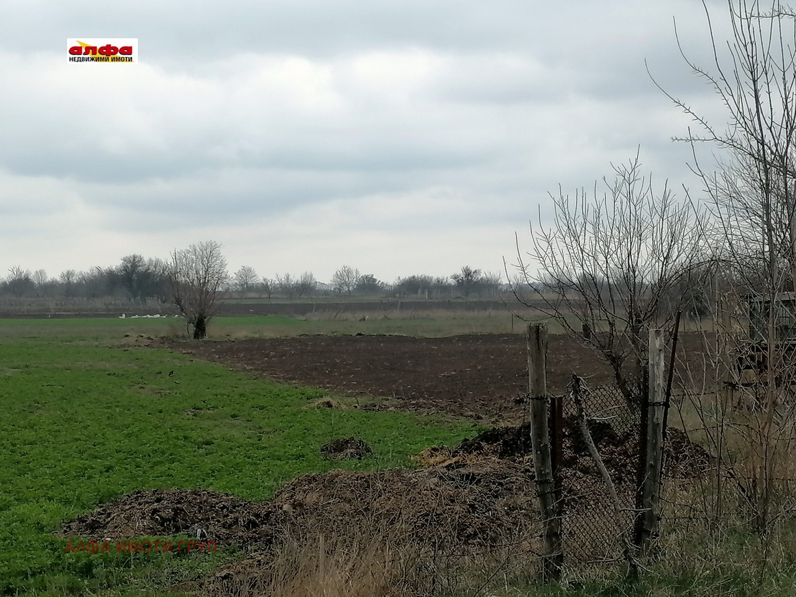 ������� ������ | Imot.bg � ����������� 1