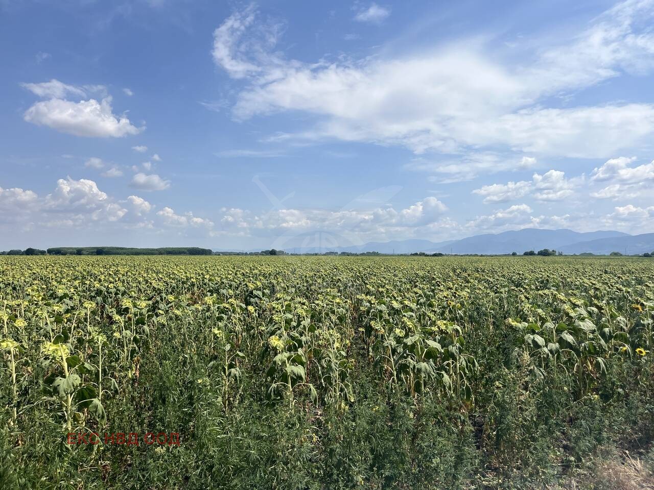 ������� ������ | Imot.bg � ����������� 1