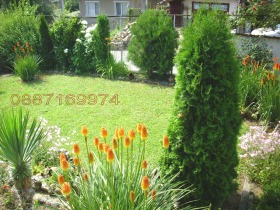   | Imot.bg    8