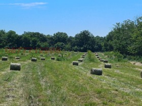 ������� ���� | Imot.bg � ����� ������ 14
