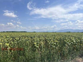 Grund Yagodovo, region Plovdiv 1