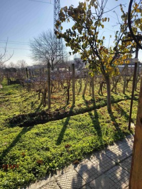 ����� ������� ������,���� ����� ������, �-� �����