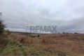 Продава ПАРЦЕЛ, с. Щипско, област Варна, снимка 1