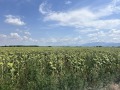 Продава ПАРЦЕЛ, област Пловдив, с. Ягодово • 69000 € • 72966525 — Holmes.bg