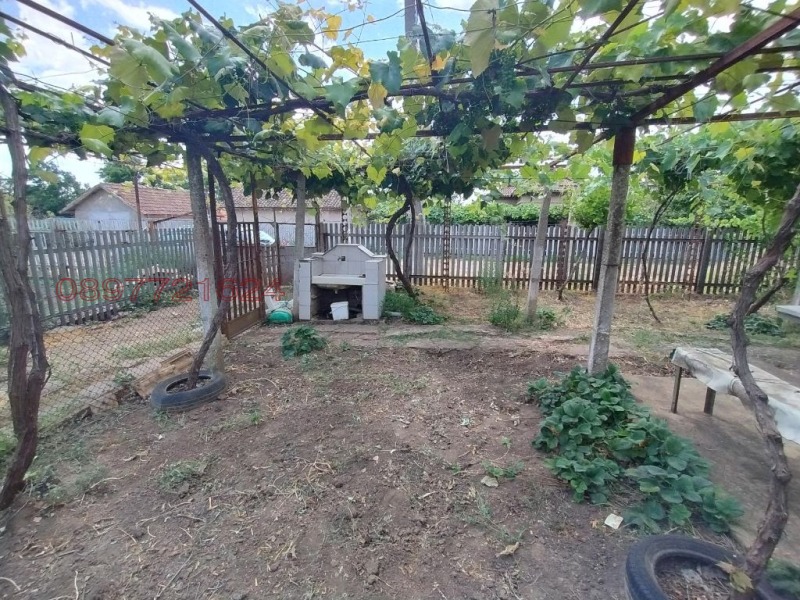 Til salg  Hus region Dobrich , Dabovik , 80 kvm | 47387315 - billede [8]