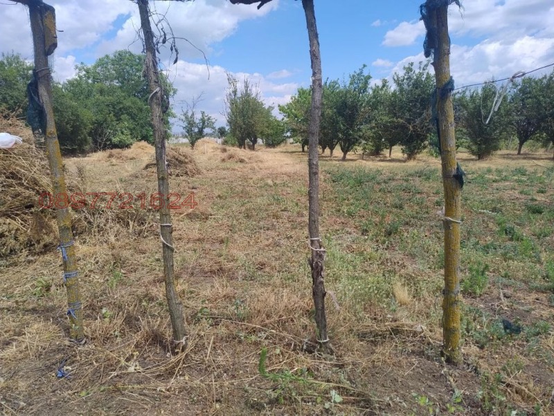Til salg  Hus region Dobrich , Dabovik , 80 kvm | 47387315 - billede [6]