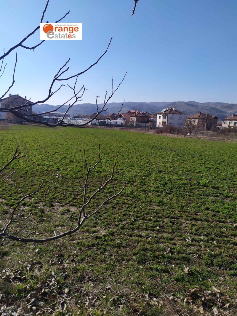 Продава ПАРЦЕЛ, с. Дамяница, област Благоевград, снимка 3 - Парцели - 53100031