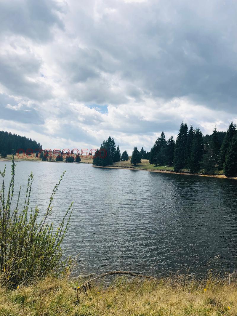 Продава ПАРЦЕЛ, с. Кутела, област Смолян, снимка 6 - Парцели - 52783082