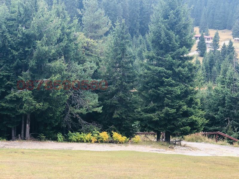 Продава ПАРЦЕЛ, с. Кутела, област Смолян, снимка 4 - Парцели - 52783082