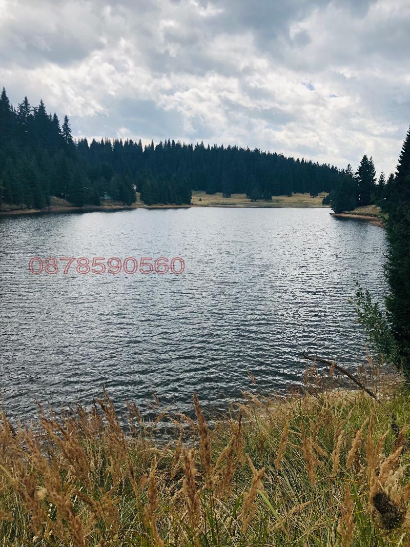 Продава ПАРЦЕЛ, с. Кутела, област Смолян, снимка 3 - Парцели - 52783082