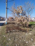 Продава ПАРЦЕЛ, с. Дамяница, област Благоевград, снимка 2