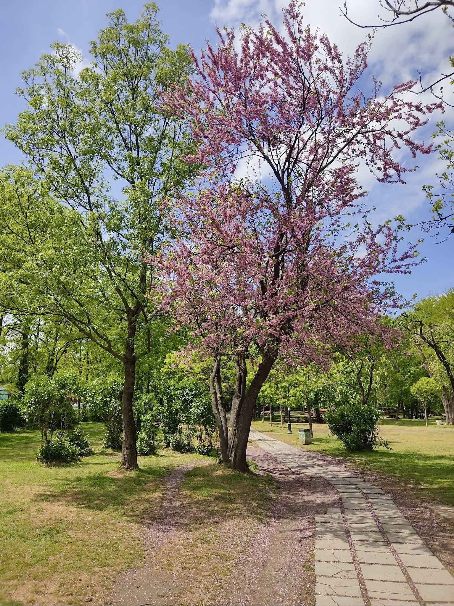 ������� 3-����� | Imot.bg � ����������� 11