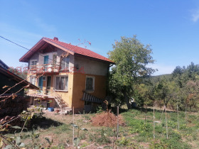 ������ ������� ����