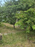 Продава КЪЩА, гр. София, Требич, снимка 5