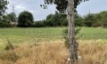 Продава КЪЩА, област Добрич, с. Дъбрава • 24500 € • 74975463 — Holmes.bg