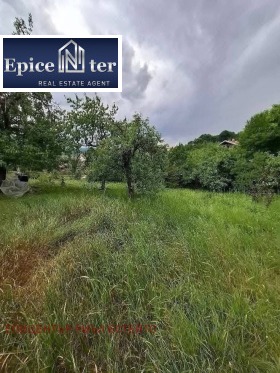 ����� ������� ����,���� ������, ����� ����