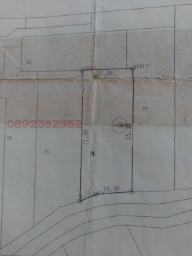 ������ ������� ������