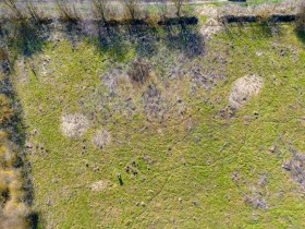 ����� ������� ������,�. ���������, ������ ������