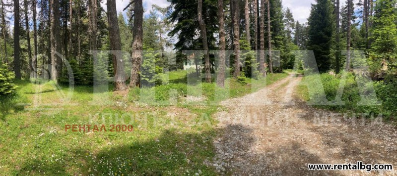 Zu verkaufen  Handlung region Plowdiw , Dobralak , 722 qm | 57406197 - Bild [13]