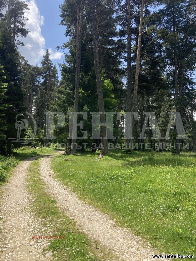 Zu verkaufen  Handlung region Plowdiw , Dobralak , 722 qm | 57406197 - Bild [14]