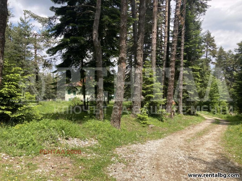 Zu verkaufen  Handlung region Plowdiw , Dobralak , 722 qm | 57406197 - Bild [15]
