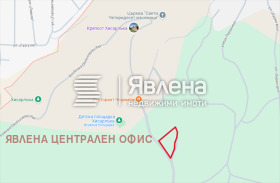 ����� ������� ������,���� ���������, ������