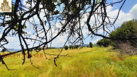 ������ ������� ���������� ����