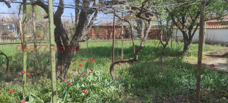 Продава КЪЩА, с. Асеновец, област Сливен, снимка 6 - Къщи - 52783773