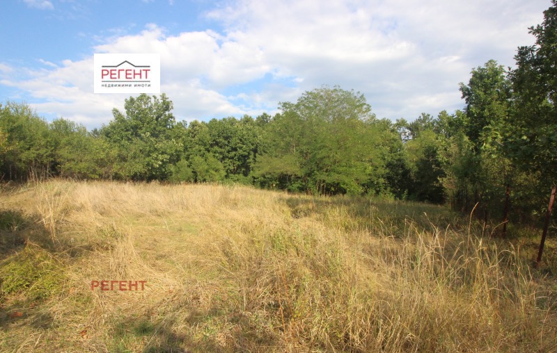 Продава ПАРЦЕЛ, област Габрово, с. Милковци • 70000 лв. • 43002565 — Holmes.bg