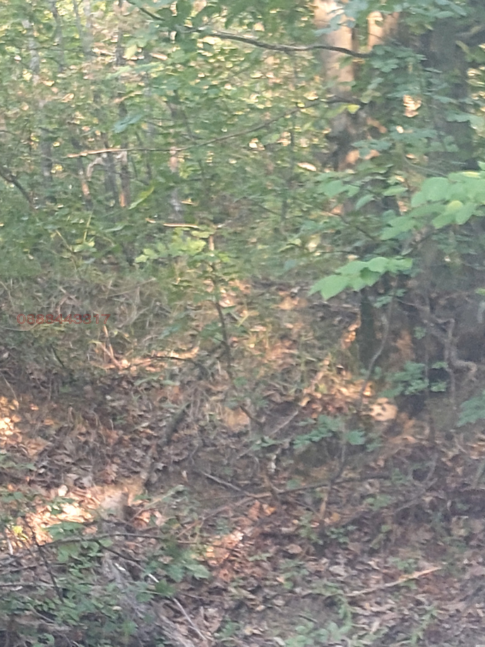 Продава ПАРЦЕЛ, с. Войнежа, област Велико Търново