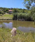 Продава КЪЩА, град Кюстендил, Върташево • 165000 € • 82637983 — Holmes.bg