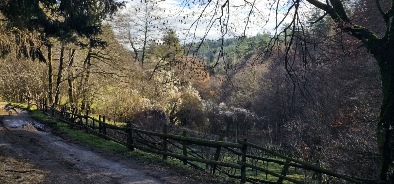 ������� ������ | Imot.bg � ����������� 3