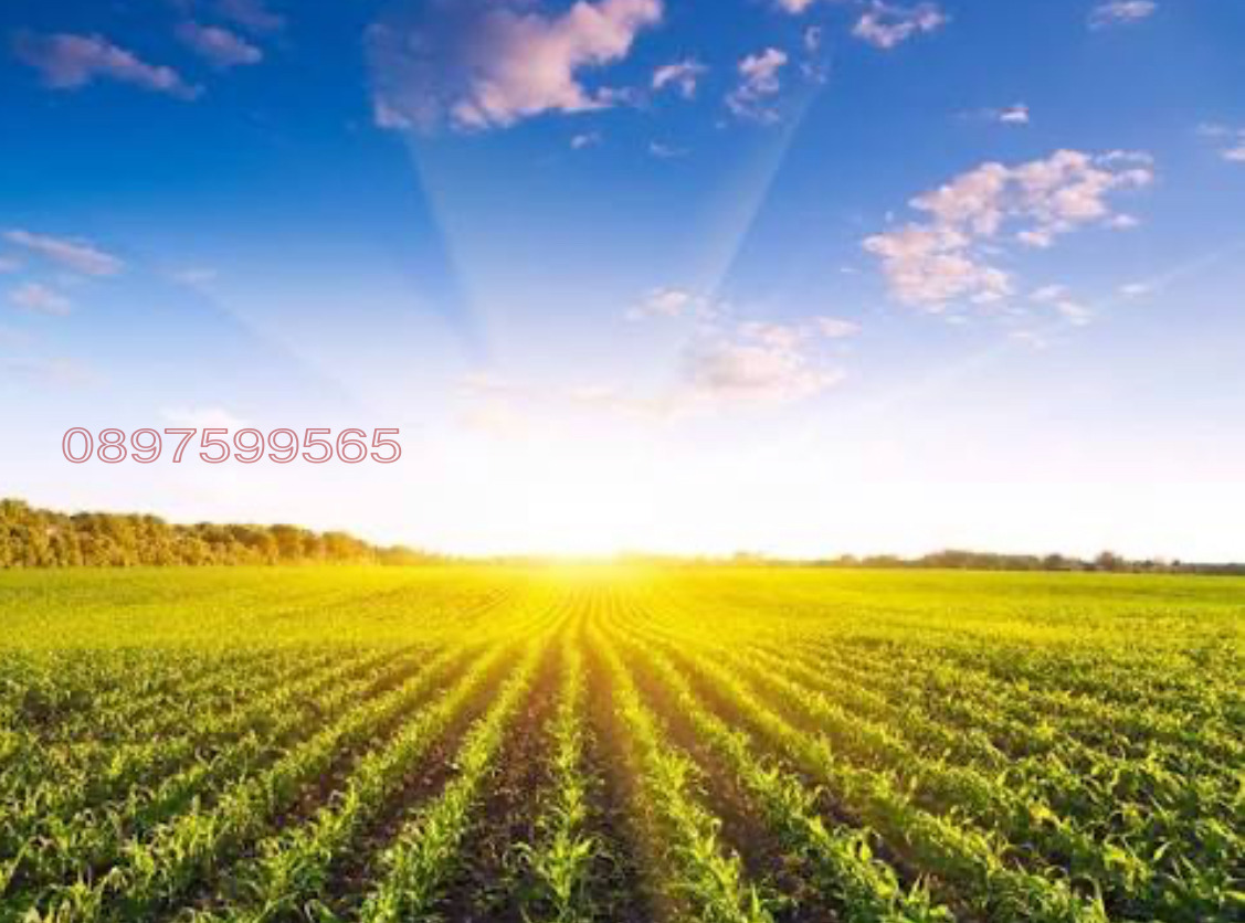 ������� ���������� ���� | Imot.bg � ����������� 1