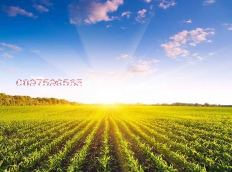 Продава ЗЕМЕДЕЛСКА ЗЕМЯ, с. Конаре, област Добрич