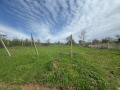 Продава ПАРЦЕЛ, област Враца, с. Нефела • 29000 лв. • 12608286 — Holmes.bg