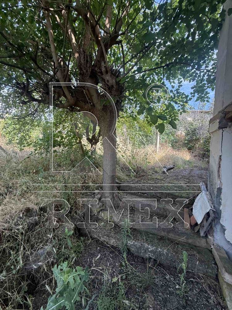������� ���� | Imot.bg � ����������� 12