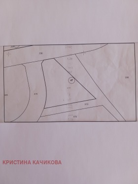 ����� ������� ������,�. ����� ����, ������ �����