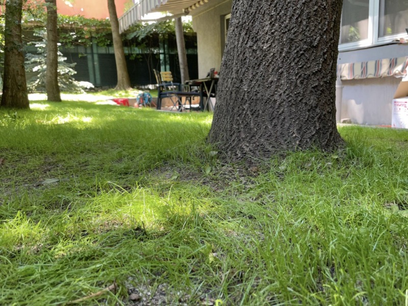 À vendre  Bureau Sofia , Meditsinska akademiya , 65 m² | 68130127 - image [8]