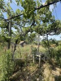 Продава КЪЩА, с. Отец Паисиево, област Пловдив, снимка 17