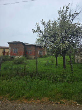 ����� ������� ����,�. ������, ������ �������