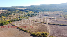������� ������ | Imot.bg � ����� ������ 6