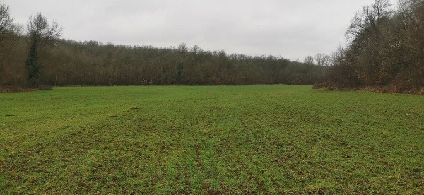 En venta  Tierra región Burgas , Primorsko , 11 dka | 83448007