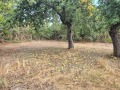 Продава КЪЩА, с. Скравена, област София област, снимка 3